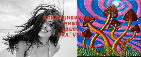 амфетамин Арсеньев