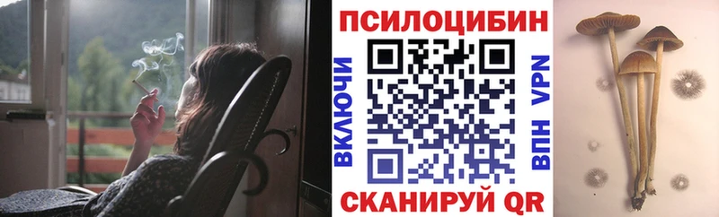 хочу   Острогожск  ОМГ ОМГ вход  Галлюциногенные грибы Psilocybine cubensis 